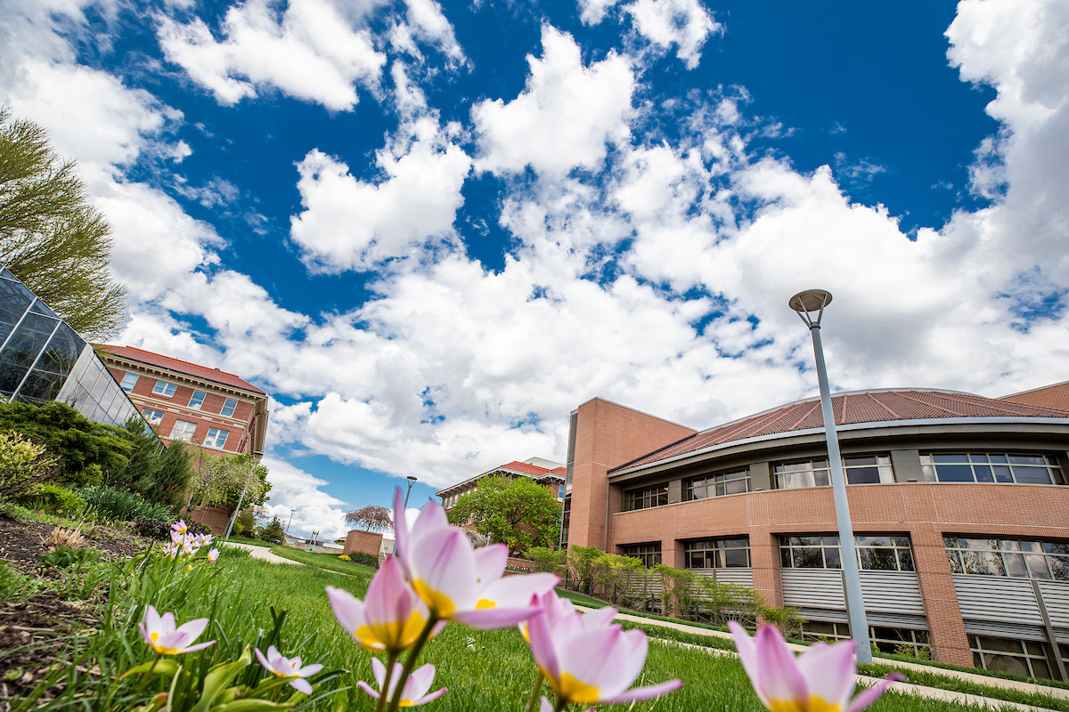 View of campus buildings looking up from the ground, with spring flowers